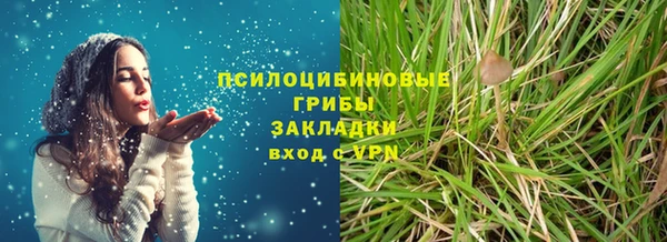дживик Ладушкин