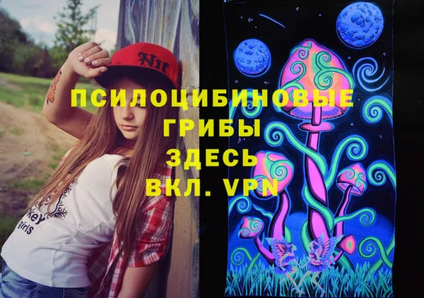 бутират Лагань