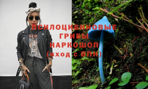 стаф Лабытнанги